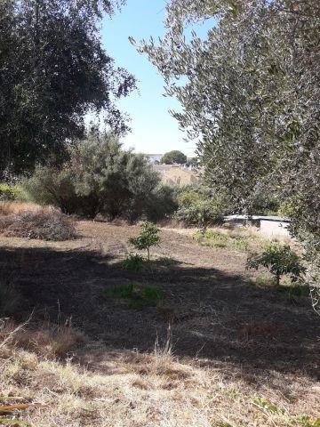 https://cdn.resales-online.com/public/tp6kmjsiau/properties/litjokkavhyznsq/w1200/17-dd5fcd4f0eb487dfa3803f7e20814c0e.jpg?v=1680555672