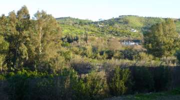 Exterior (calle)