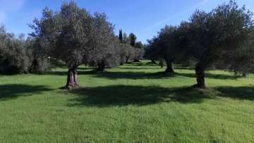 Parcela