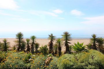 https://cdn.resales-online.com/public/swt24est18/properties/d9a9fb64d28311eca97d0217bc231ef4/w1200/35-53608d01401493ba18e3704836160563.jpg?v=1653411157