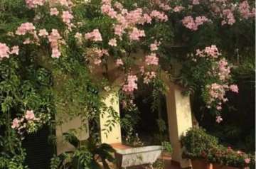 Detalle