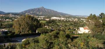 Cenital