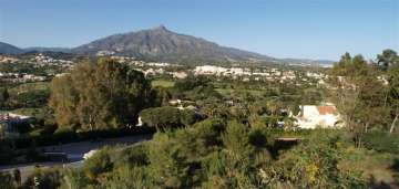 Cenital